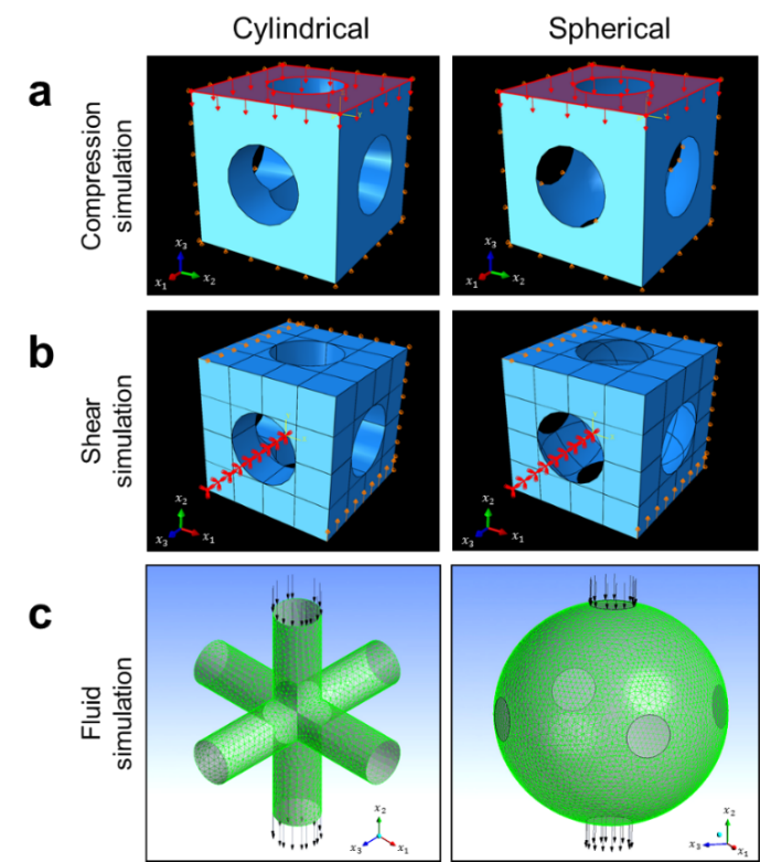 中山大学王山峰教授团队《Mater. Design》:圆柱形和球形模型在骨组织工程支架设计中的对比研究的图1
